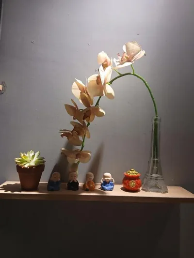 Trung tâm quận 3 – Fotos 8